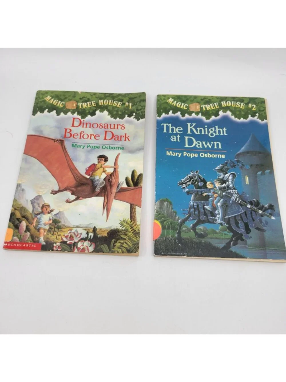 MAGIC TREE HOUSE Lot of 14 Chapter Books by Mary Pope Osborne